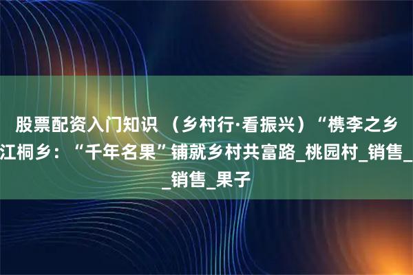股票配资入门知识 （乡村行·看振兴）“槜李之乡”浙江桐乡：“千年名果”铺就乡村共富路_桃园村_销售_果子
