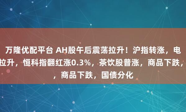 万隆优配平台 AH股午后震荡拉升！沪指转涨，电力股持续拉升，恒科指翻红涨0.3%，茶饮股普涨，商品下跌，国债分化