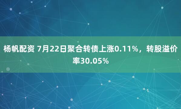 杨帆配资 7月22日聚合转债上涨0.11%，转股溢价率30.05%