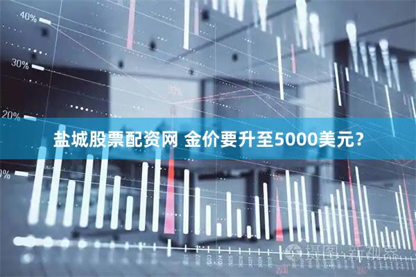 盐城股票配资网 金价要升至5000美元？