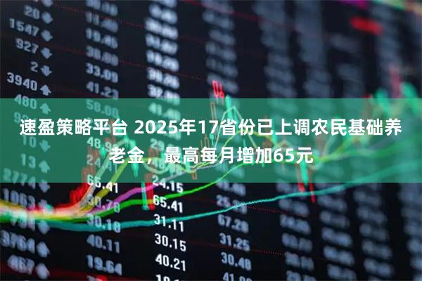 速盈策略平台 2025年17省份已上调农民基础养老金,最高每月增加65元