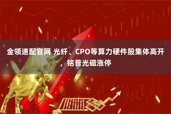金领速配官网 光纤、CPO等算力硬件股集体高开，铭普光磁涨停